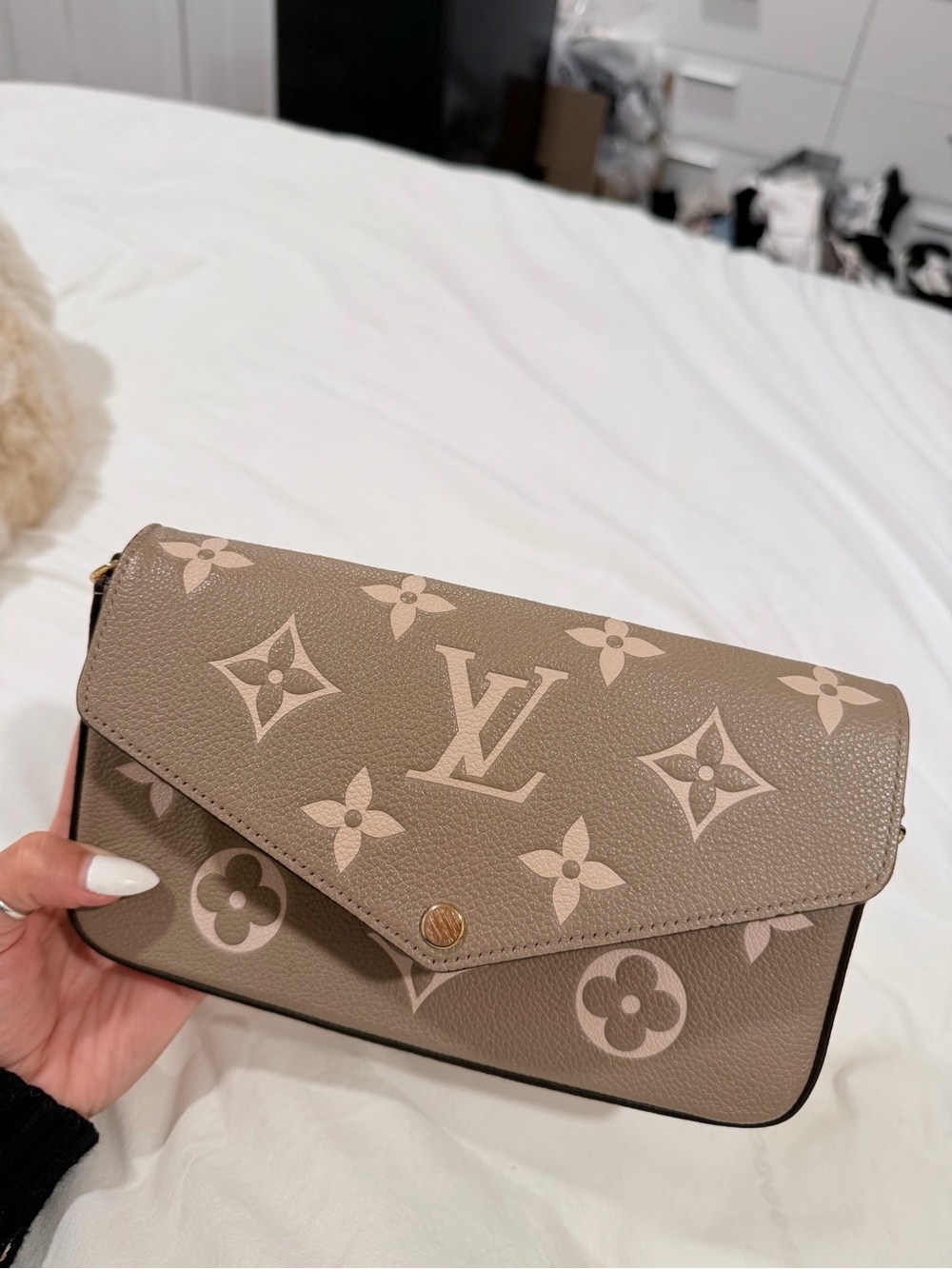 Authentic Louis Vuitton Pochette Félicie bag